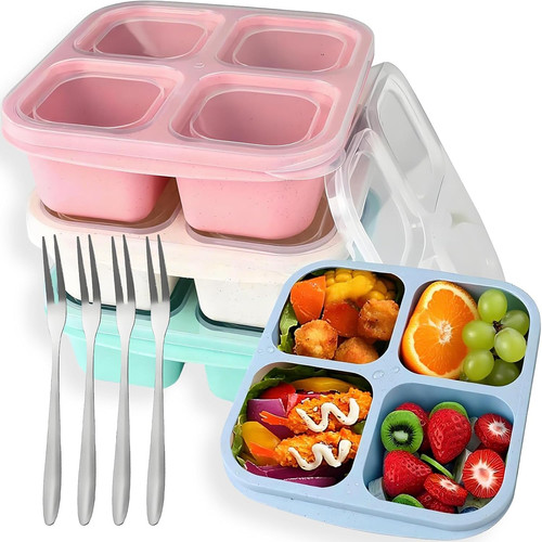 Bento snack boxen - boxen,, stück